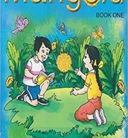 marigold-book-i-class-i-original-imaf7zxgsnqxjhzf